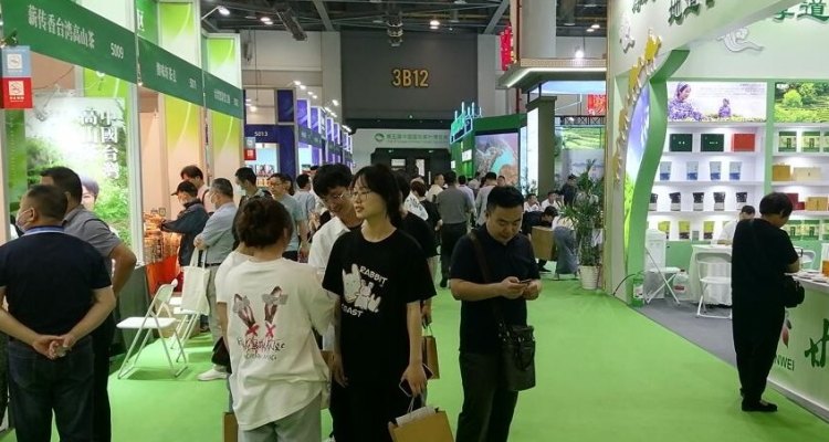 The 23Rd Shanghai International Tea Trade Expo 2024 Will Be Held From July 25 To 28, And Tickets Are Now Being Booked! Know The Event Forum In Advance~