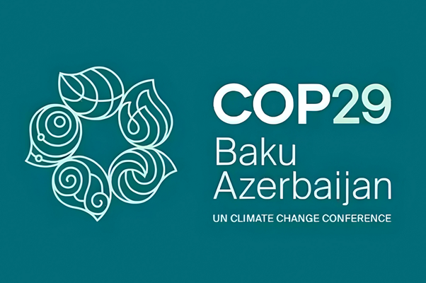 Cop29: Huge Opportunity For U.s. Small Businesses In The Climate Change Space