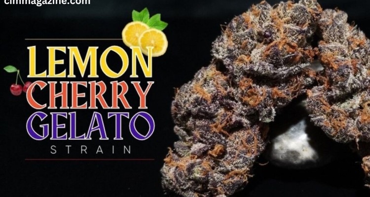 Lemon Cherry Ice Cream Strain Effects: Uplifting and