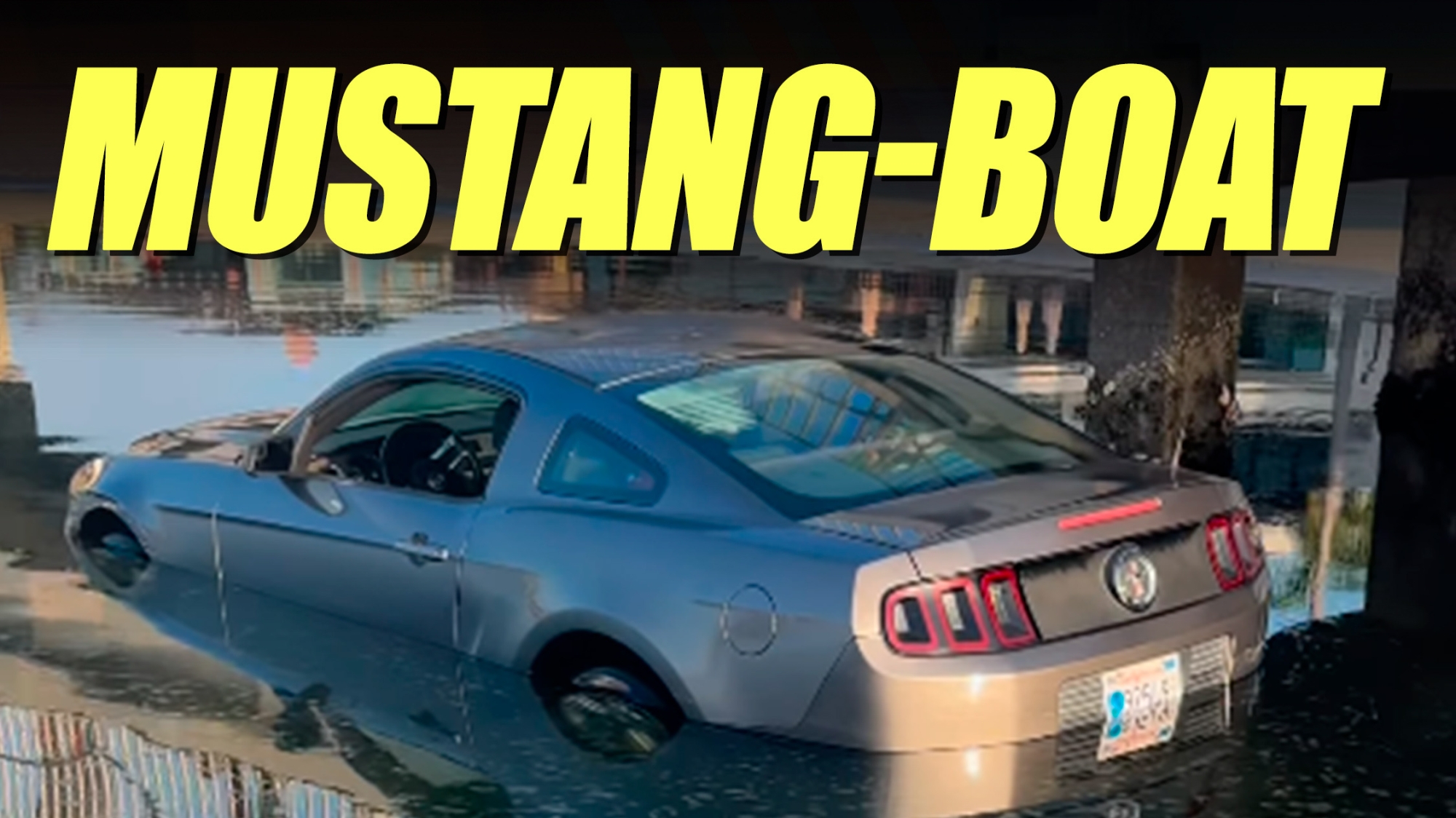 Mustang Owners Clueless About How It Ended Up Swimming In San Diego Bay