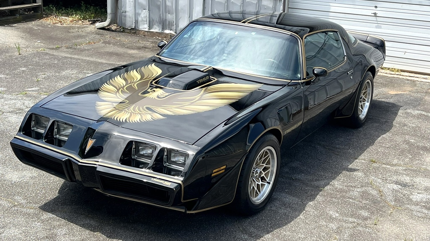 1979 Pontiac Firebird Trans Am