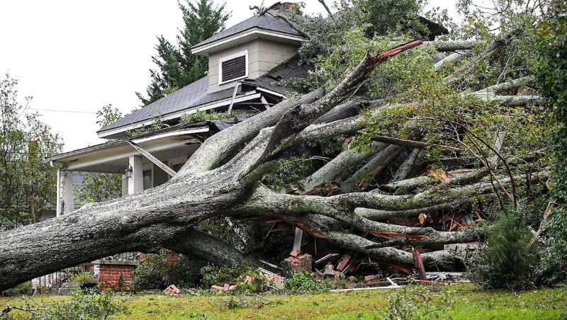 A large oak lies on a home after it fell due to Tropical Storm Helene in Anderson, South Carolina, September 27. Ken Ruinard/The Anderson Independent Mail/USA TODAY NETWORK