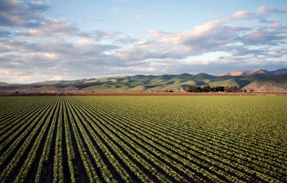 2024 Us Agriculture Trade Show