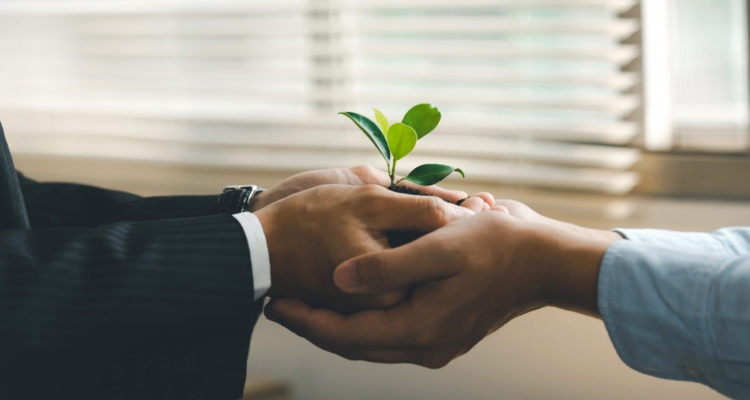 Hands Holding Green Plants Together