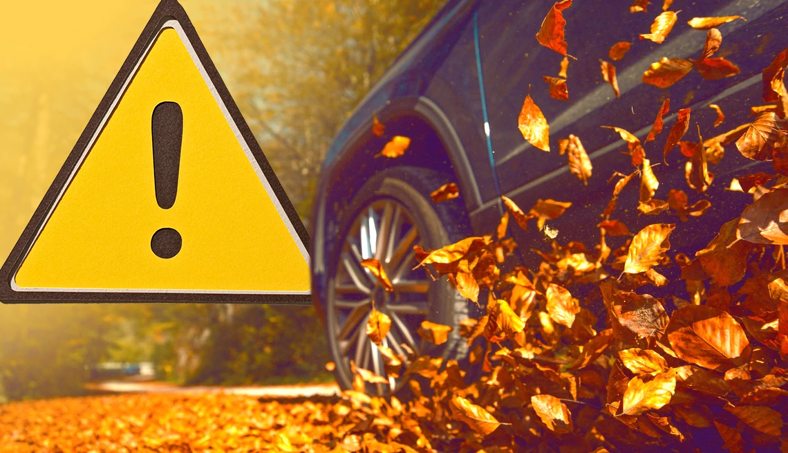 Fall Driving Tips