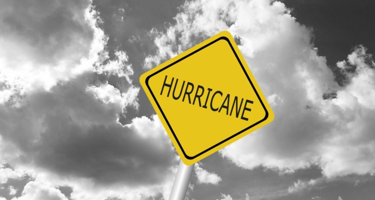 Freight Forwarders Turn Strike Focus To Hurricane Aftermath