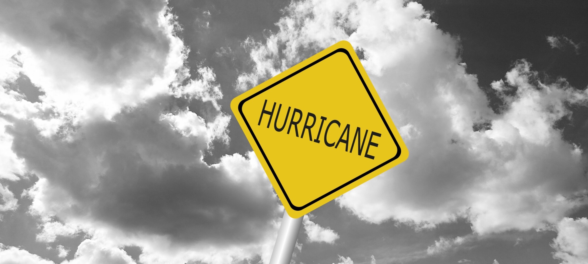 Freight forwarders turn strike focus to hurricane aftermath