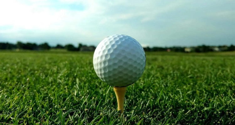 Vha Prepares For 38Th Annual Golf Tournament » Exhibit City