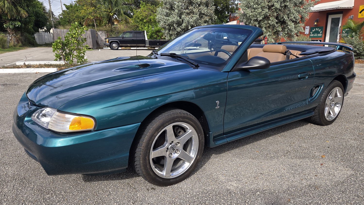 1997 Ford Mustang Svt Cobra Convertible