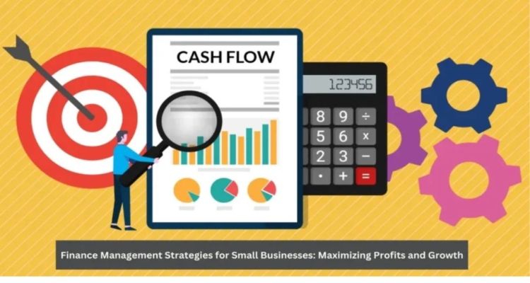 Financial Strategies For Small Business Success