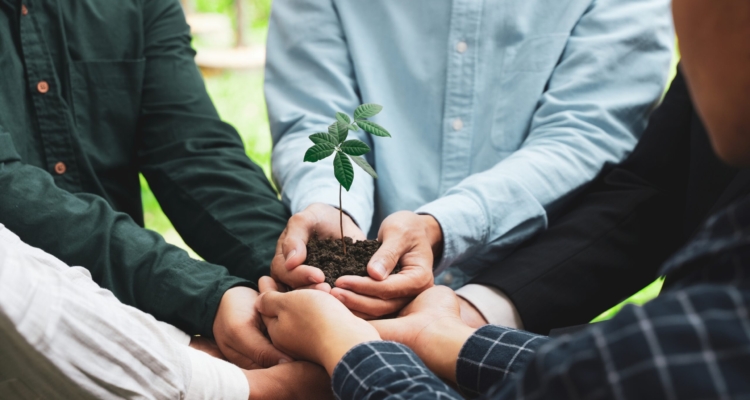 Five businesspeople holding plant