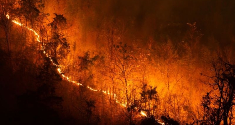 Los Angeles wildfires