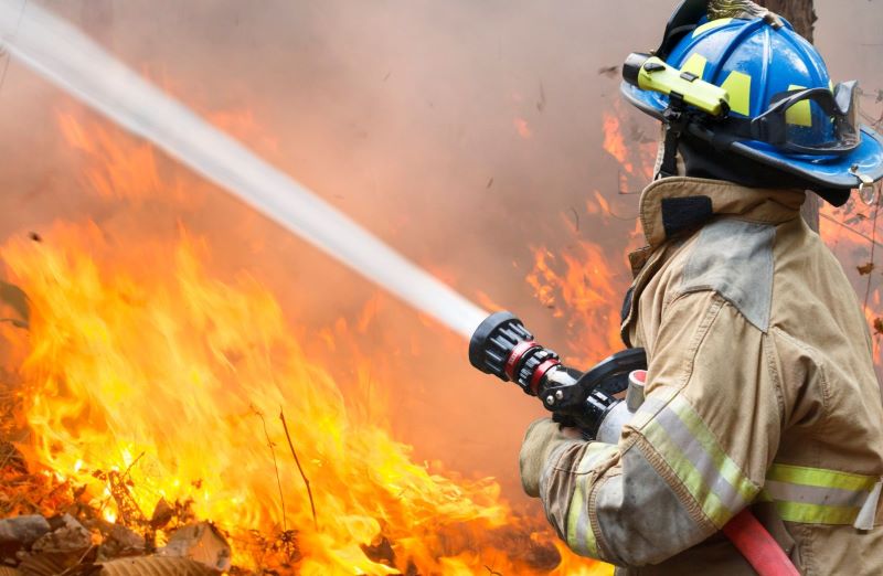 Los Angeles wildfires