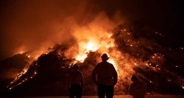 Firefighters work the Bobcat Wildfire in the hills above Los Angeles