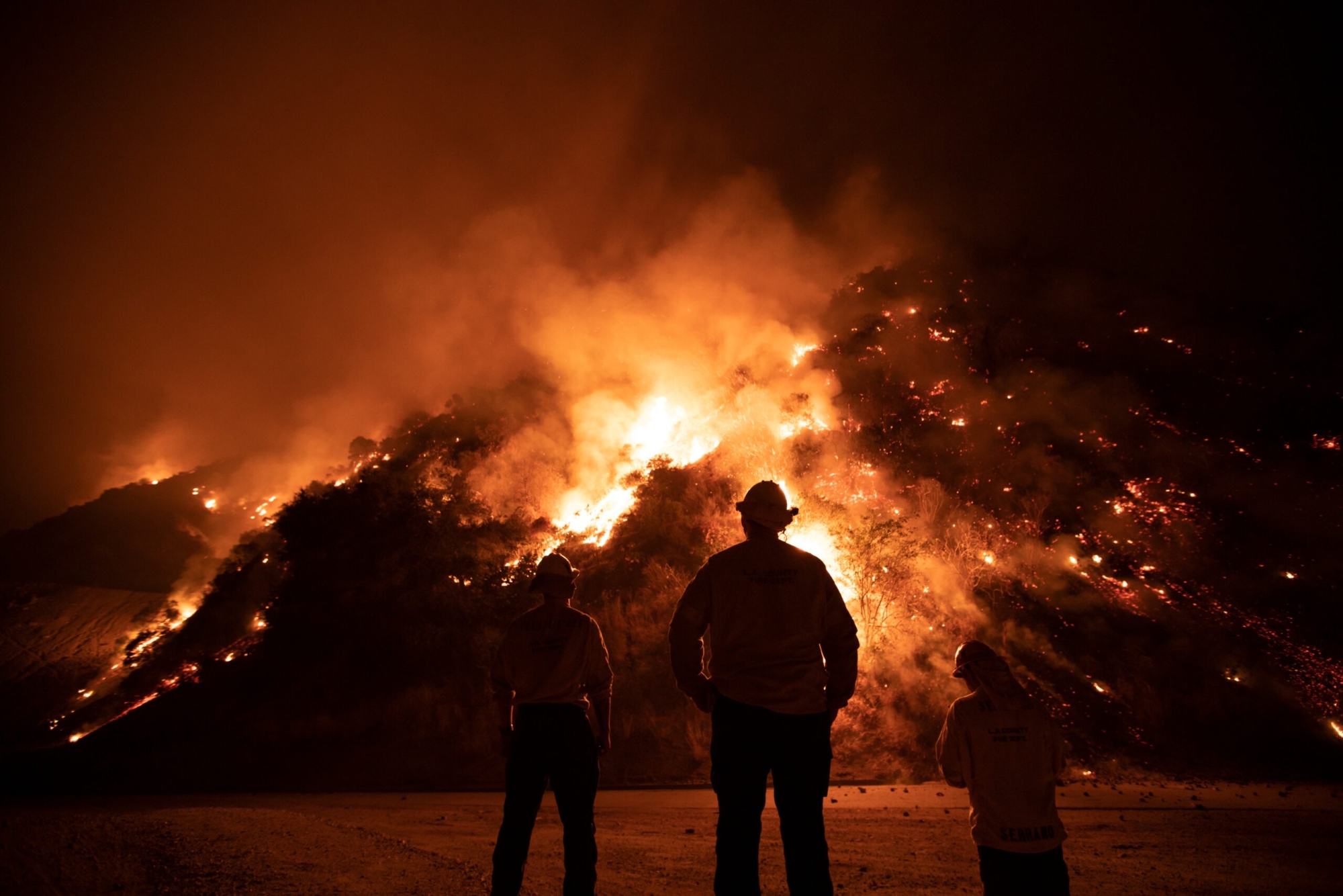 Firefighters work the Bobcat Wildfire in the hills above Los Angeles