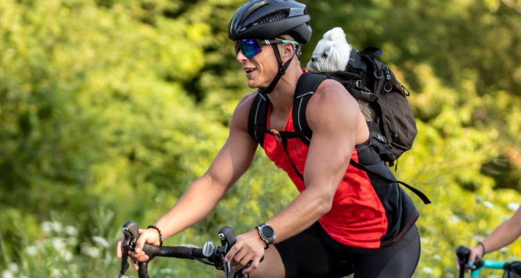 A cyclist riding on a bike with a small dog in their backpack.