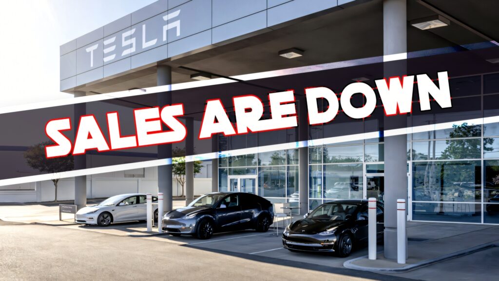 Tesla global sales decline for first time in more than a year